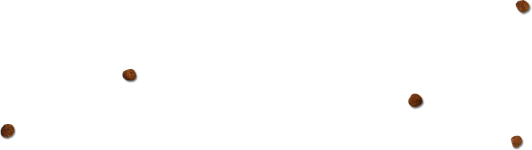 rev_home2_6.png